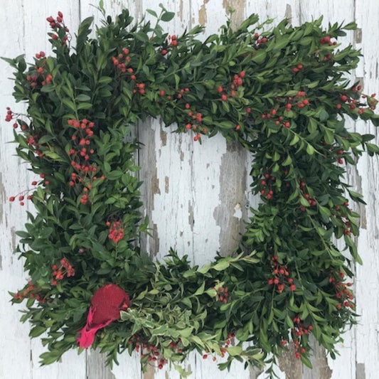 Cardinal at the Boxwood Window Wreath