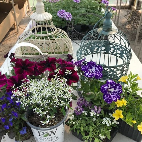 Bird Cage Floral Workshop