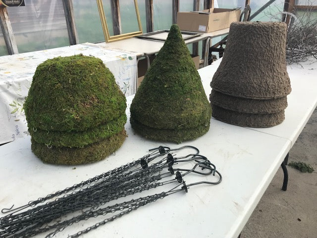 Spring Bulb Container