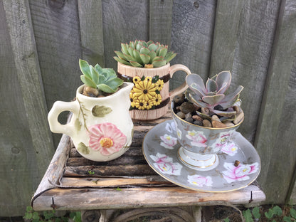 Tiny China Gardens - Teacups & Teapots Workshop
