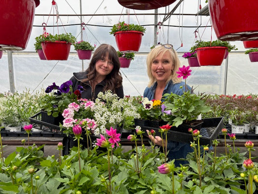 Greenhouse Car Rally 2026