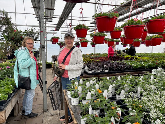 Greenhouse Car Rally 2026