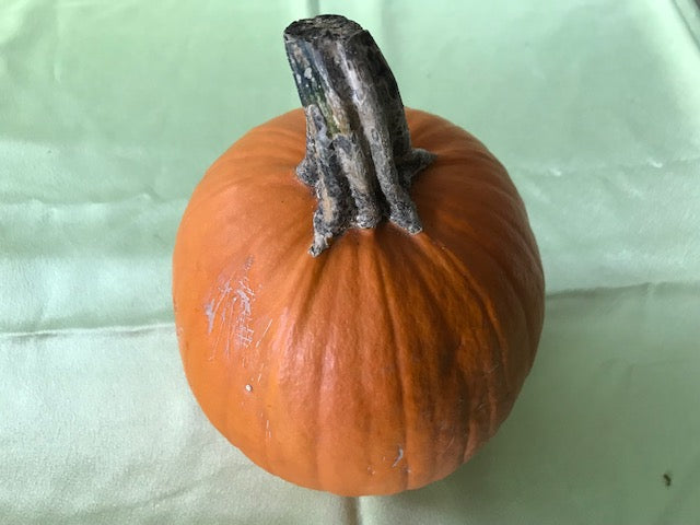 Fall Floral Pumpkin Workshop