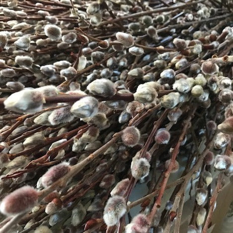 Breath of Spring Wreath