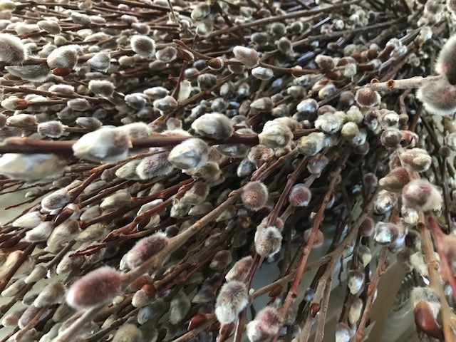 Breath of Spring Wreath Workshop