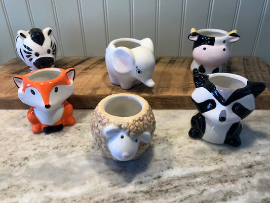 Kids Pet Plant Workshop