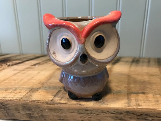 Kids Whoooo's Coming to the Plant Party?