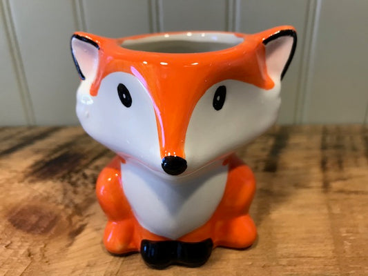 Kids Pet Plant Workshop