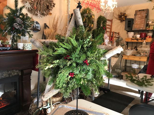 Birch Star Winter Workshop