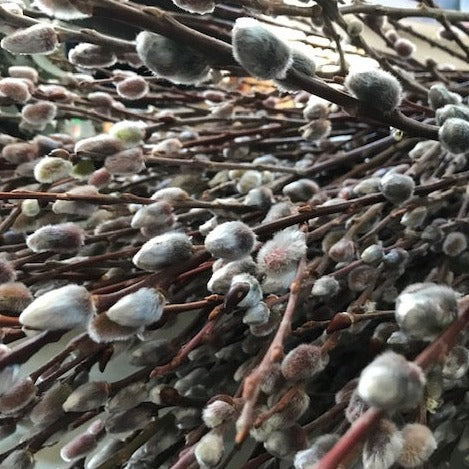 Jelly Bean Spring Wreath Workshop