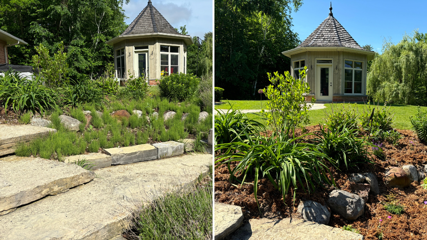 Garden Makeover