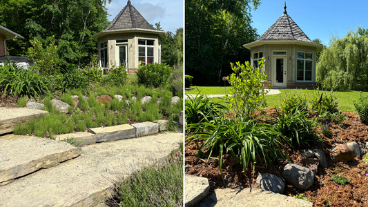 Garden Makeover