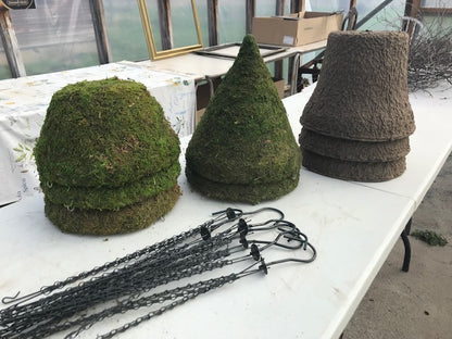 Spring Bulb Container