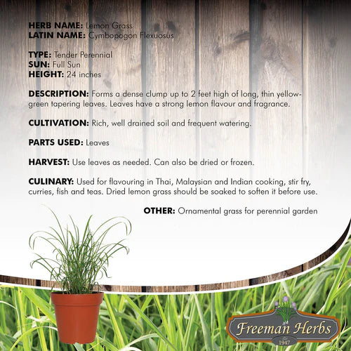 Freeman Lemon Grass Herb