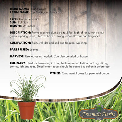 Freeman Lemon Grass Herb