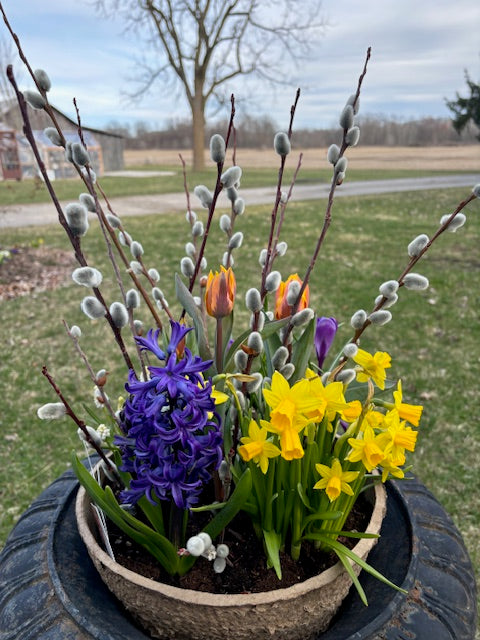Springy Bulb Container Workshop