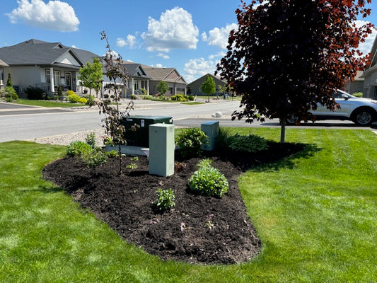 Garden Consultation
