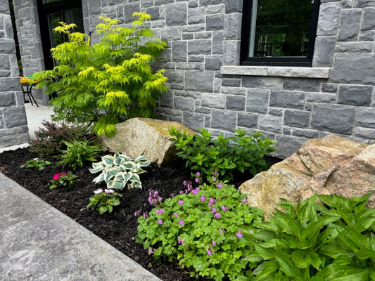 Garden Consultation