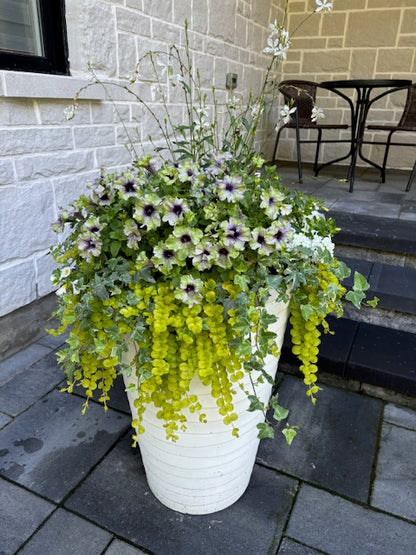 Garden Consultation