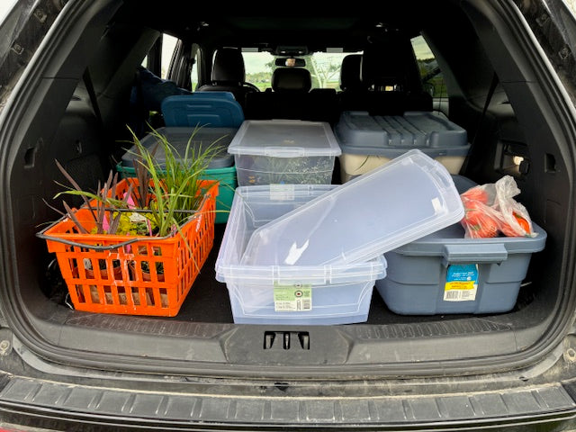 Greenhouse Car Rally 2026