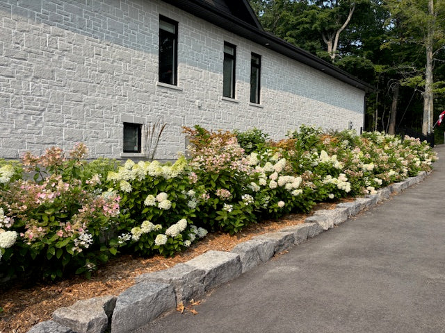 Small Landscape Designs