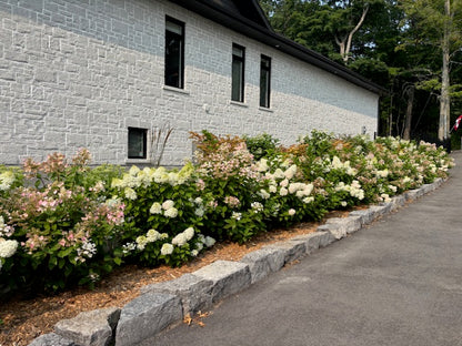 Small Landscape Designs