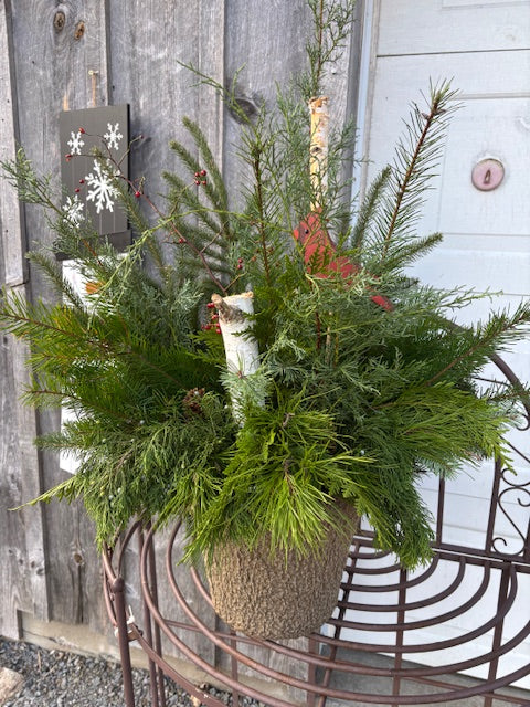 Foraging Cardinal Container