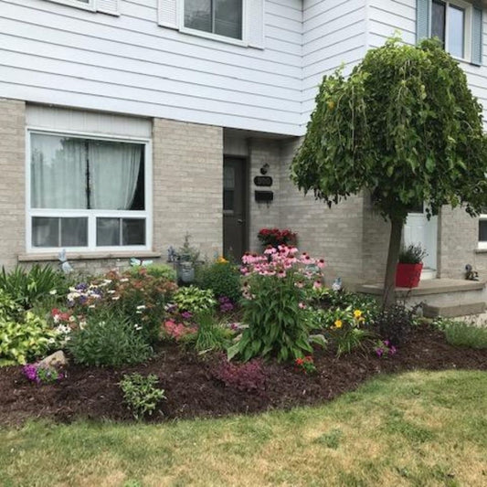 Garden Staging