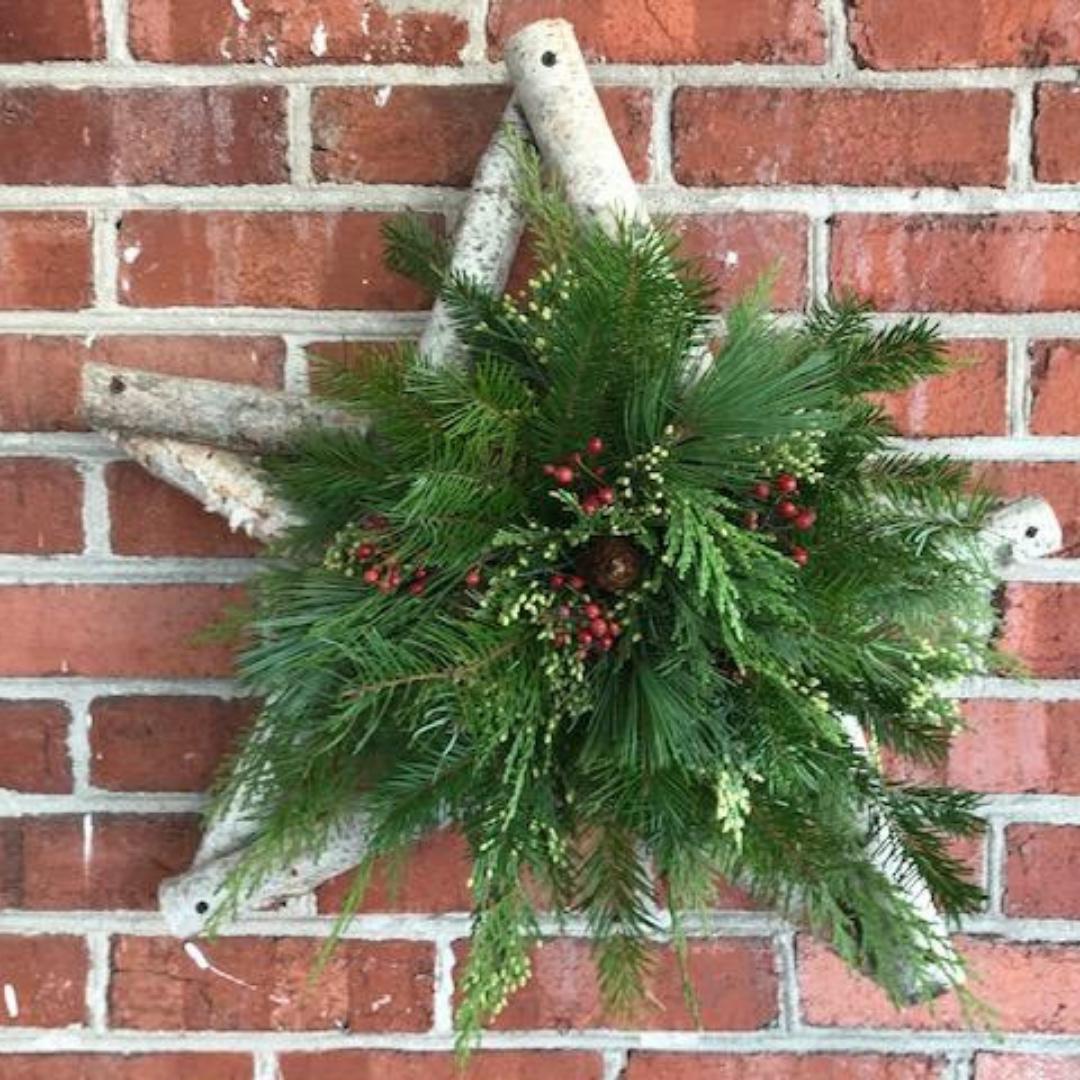 Birch Star Winter Workshop