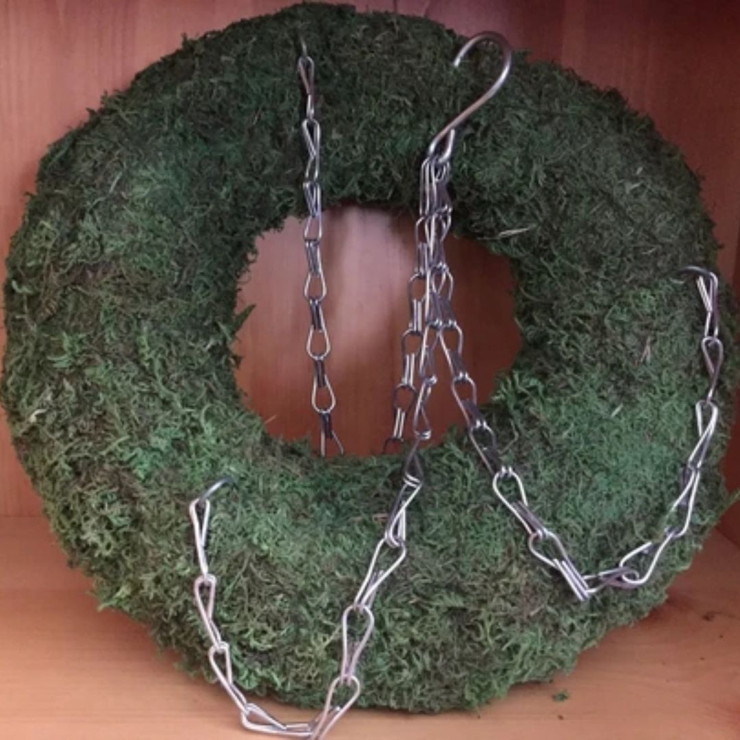 Plant Ready Succulent Moss Wreath