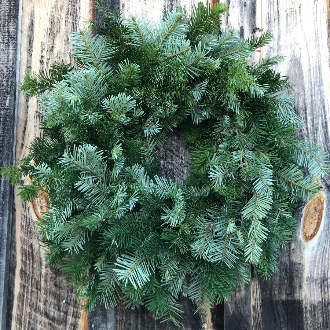 Silver Fir Wreath