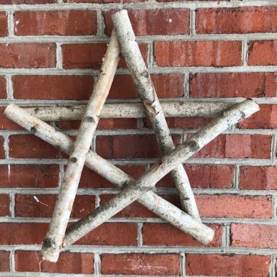 Birch Star Winter Workshop