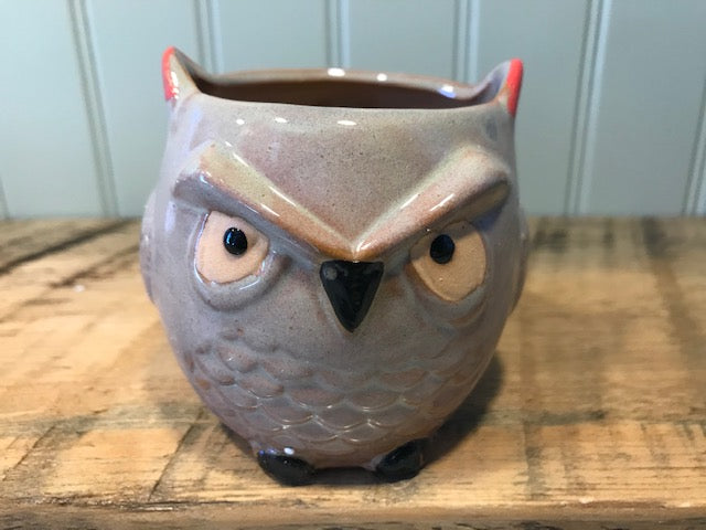 Whoooo's Coming to the Plant Party? Workshop
