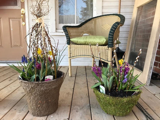 Springy Bulb Container Workshop